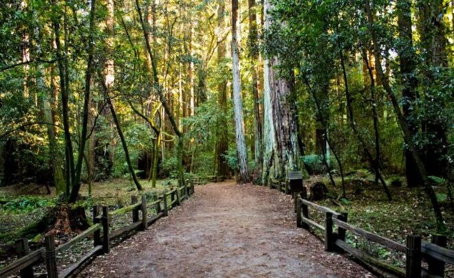 The Ultimate Guide To Outdoor Activities For The Whole Family