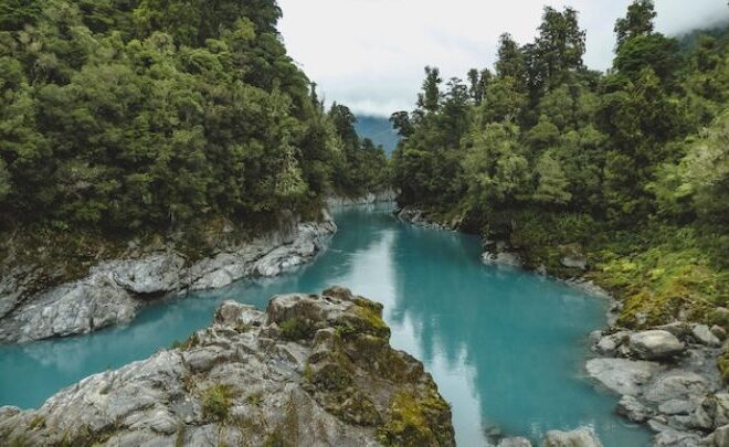A Comprehensive Guide for a Stress-Free Move from New Zealand