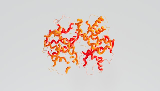 Amino Acids