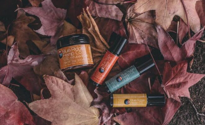 CBD in the Beauty Industry: Trends and Product Innovations