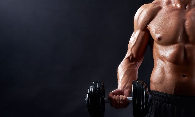 Gain Muscle A Beginner’s Guide