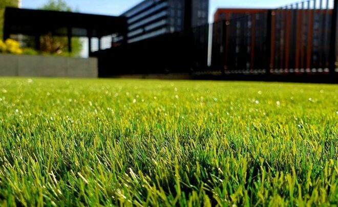 The Ultimate Guide to Lawn Maintenance