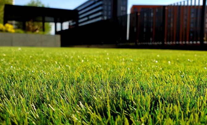 Lawn1
