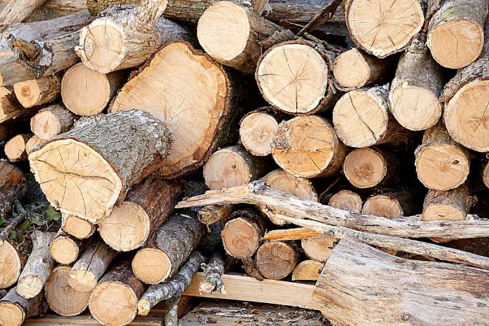 Timber2