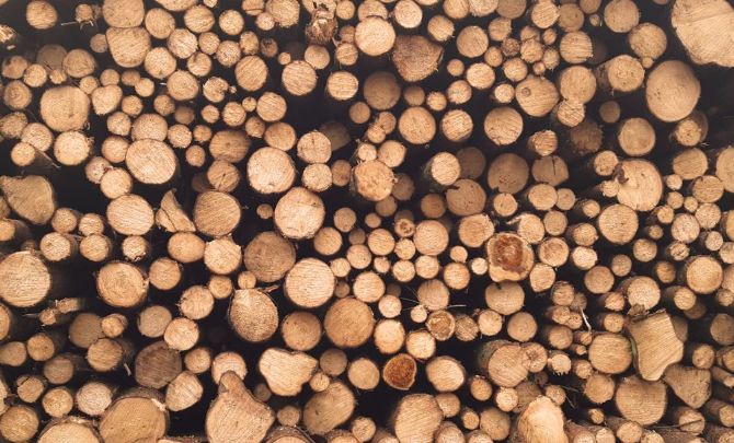 Timber3