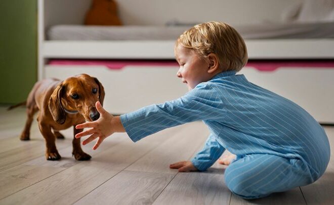 What to Do If a Dog Bites Your Child: Medical Steps Every Tennessee Parent Should Take