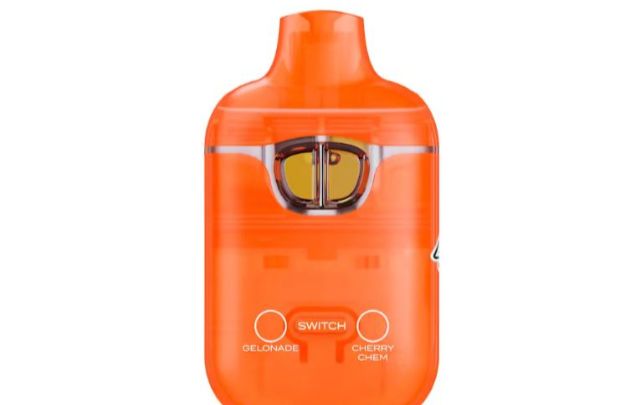 Boutiq-Switch-2G
