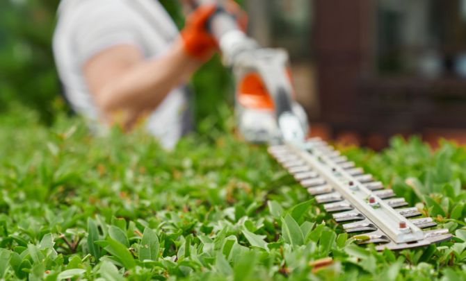Landscaping