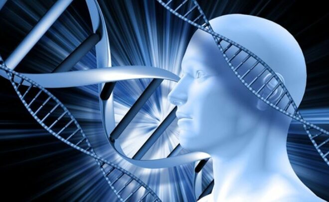 The Phenomenon of Digital Visionary: How Uri Poliavich is Redefining the DNA of the Modern IT Industry